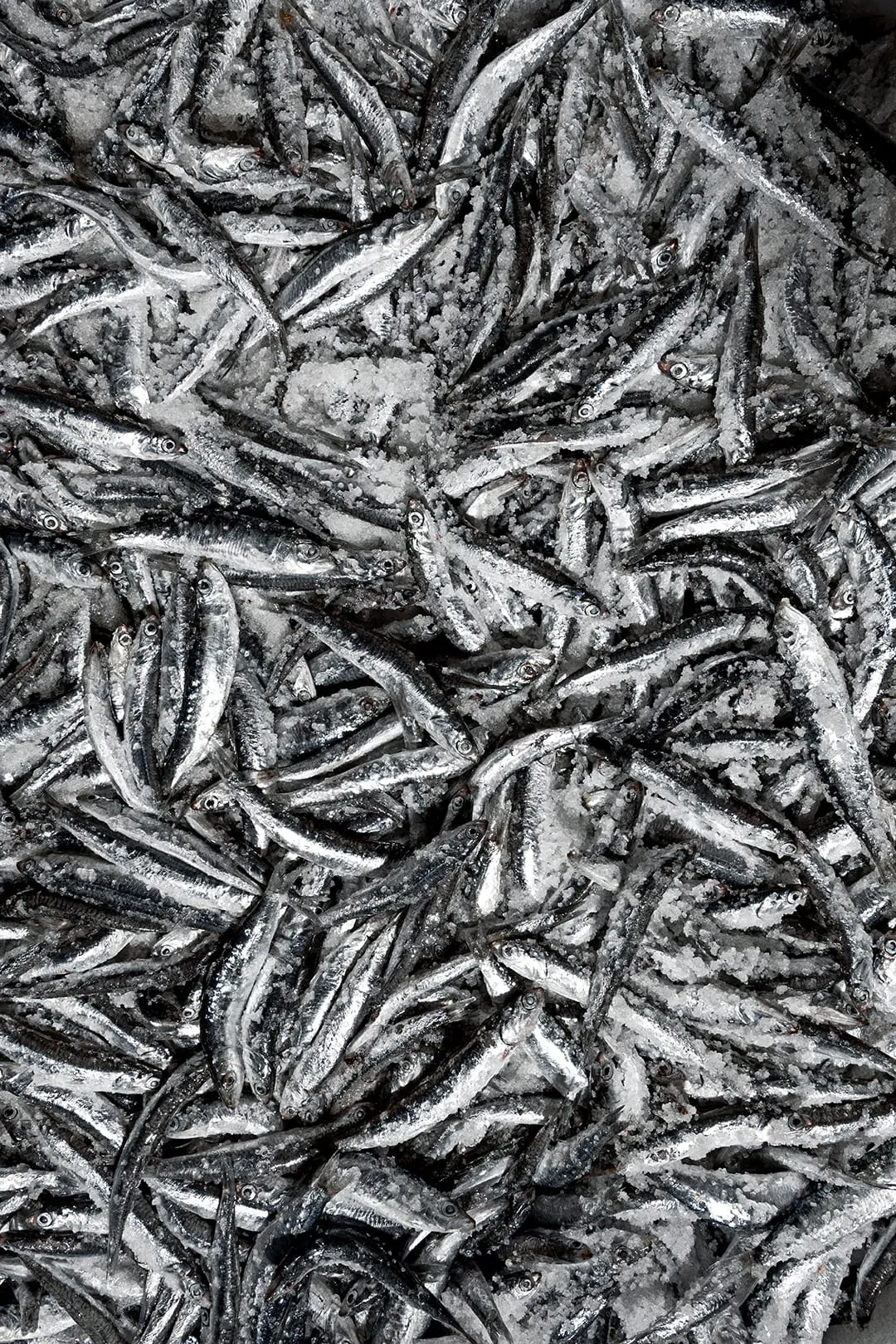 아말피 해안 체타라